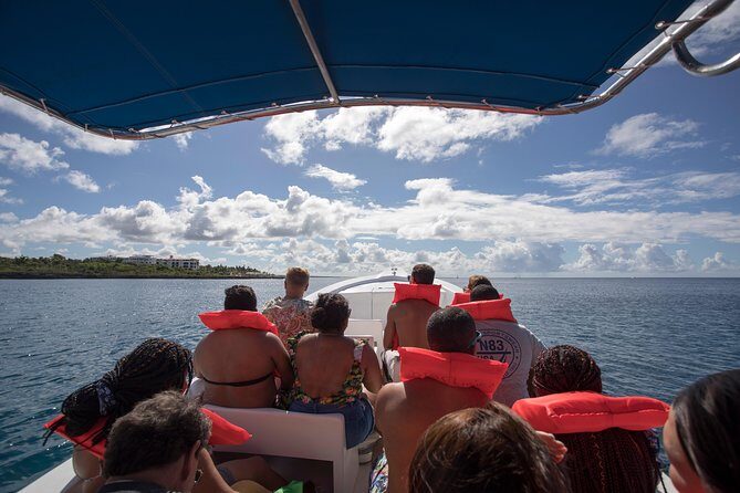 Saona Island Day Trip From Punta Cana with Lunch and Open Bar - Should You Book This Saona Island Day Trip?