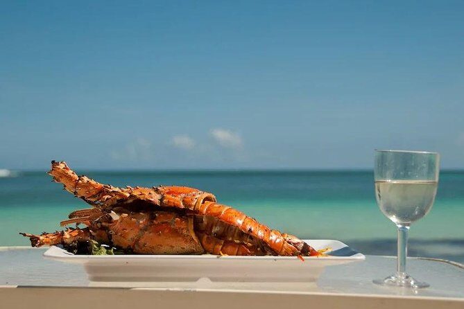 Saona Island Day Trip + Lobsters Included - Key points before you go
