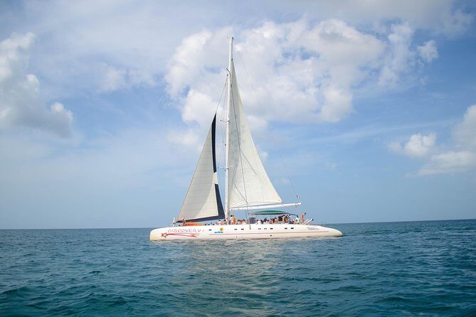 Saona Island Day Trip + Lobsters Included - Playa Palmilla natural pool: knees-deep beauty with real footing tips