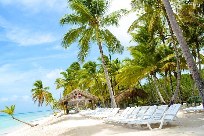 Saona Island Day Trip + Lobsters Included - Lobster lunch plus drinks: the value hit (when it works)