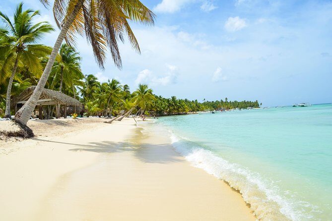 Saona Island Day Trip + Lobsters Included - What the total 8 hours feels like in real life