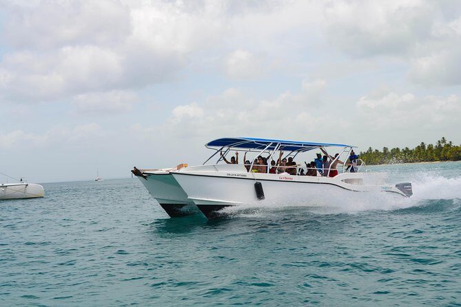 Saona Island Day Trip + Lobsters & Wine Included - Group size and the guide factor on a 60-person max day