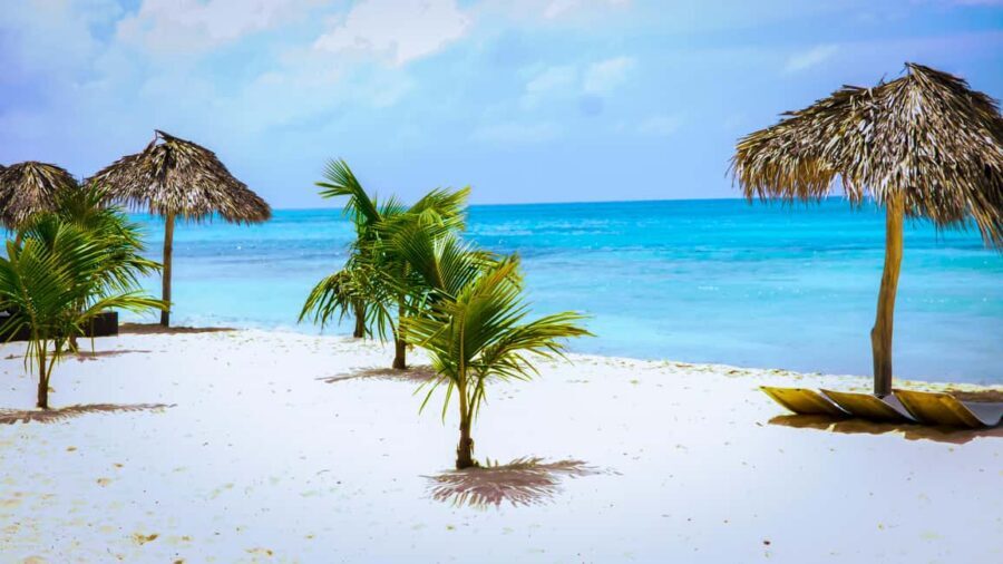 Saona Island Day Trip + Lunch + Open Bar from Punta Cana - Lunch, BBQ, and the open bar: what’s included and how to pace it