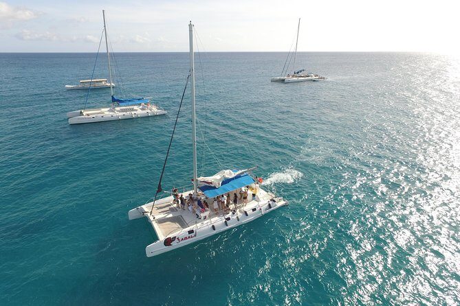 Saona Island Excursion From Punta Cana - Key Things You’ll Notice on This Saona Day Trip