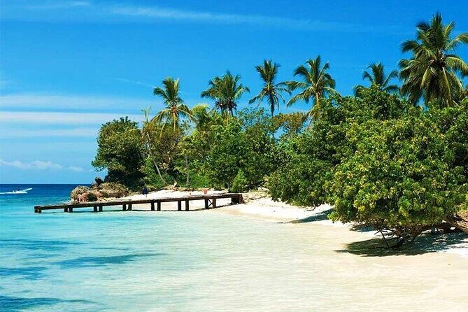 Saona Island from Punta Cana with Transportation and Lunch Included - How the Day Runs: Punta Cana Pickup, Bayahibe Boats, and the Saona Loop