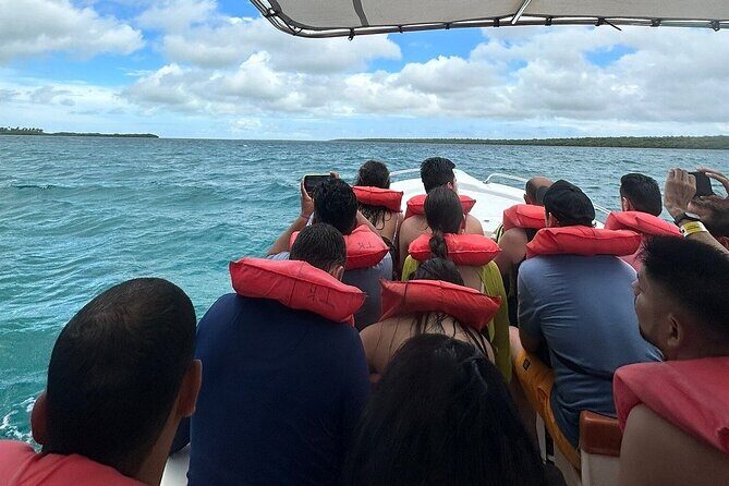 Saona Island from Punta Cana with Transportation and Lunch Included - What to Expect on the Ground: Group Size, Tickets, and Timing