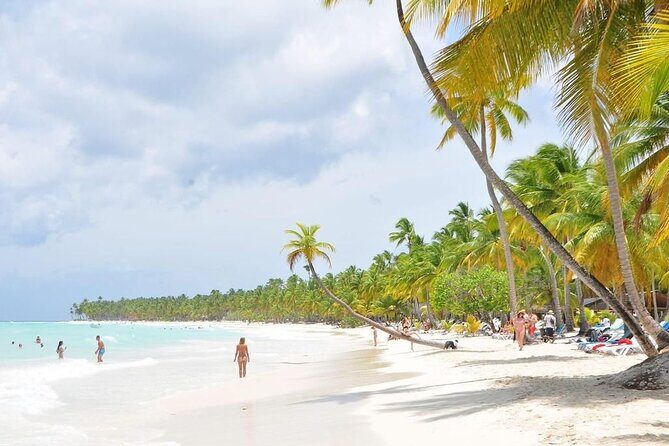 Saona Island from Punta Cana with Transportation and Lunch Included - The Speedboat Ride Toward the Natural Pool: Scenery Time That Feels Fast