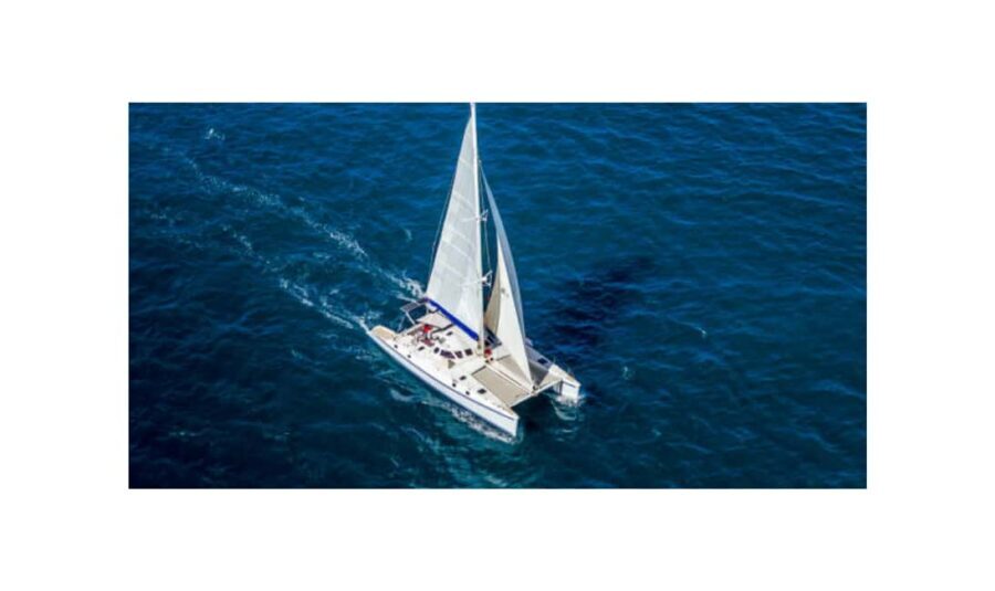 Saona Island From Santo Domingo With Catamaran, Food & Drink - Why Saona Island Trips From Santo Domingo Are So Popular