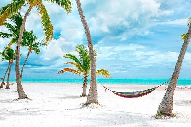 Saona Island Full Day Adventure From Punta Cana & Bavaro - The guides and the vibe: conservation talk and photo-friendly moments
