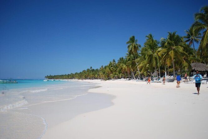 Saona Island Full Day Adventure From Punta Cana & Bavaro - Group size and comfort: what “max 30” can mean in real life
