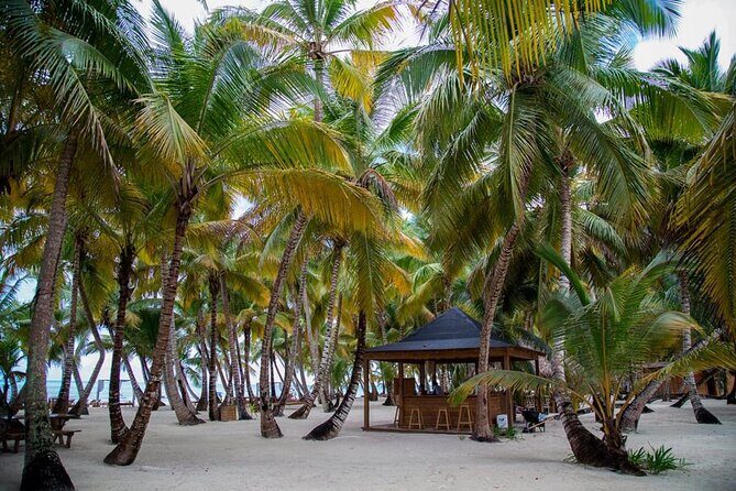 Saona Island Full Day Adventure From Punta Cana & Bavaro - Price and value: is $79 a good deal for this Saona day?