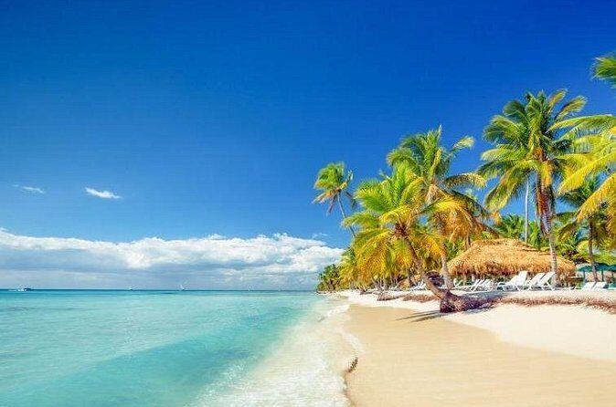 Saona Island Full-Day Excursion - Getting the most out of your day on Saona