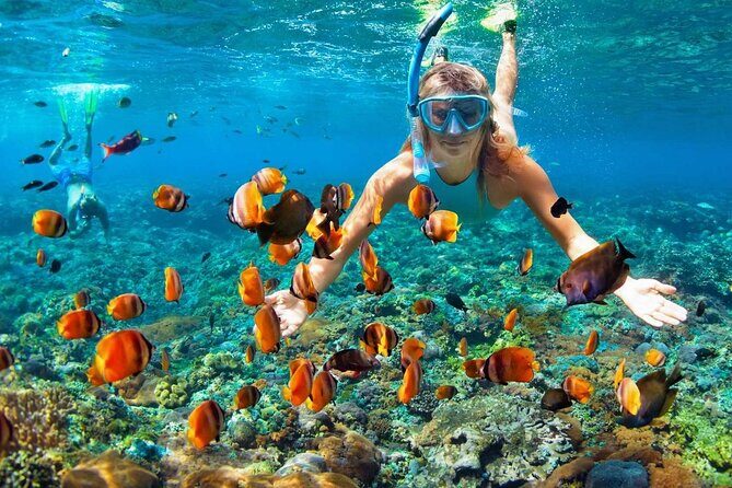 Saona Island Full Day Excursion from Punta Cana - Price and value: what $79 really buys you