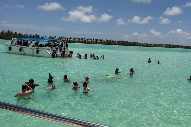Saona Island Full Day From Punta Cana - Key Highlights You’ll Actually Care About