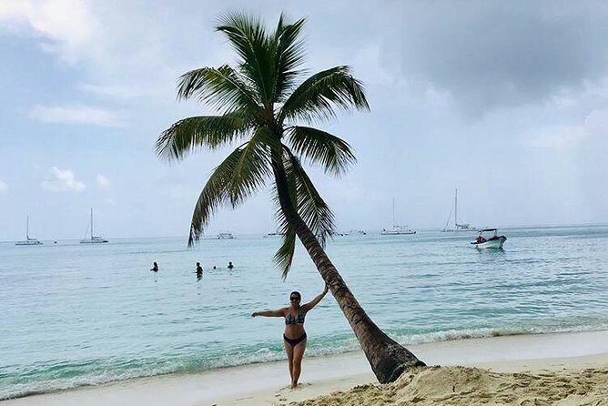 Saona Island Full Day From Punta Cana - Saona Island: White Sand, Palm Shade, and Real Beach Time