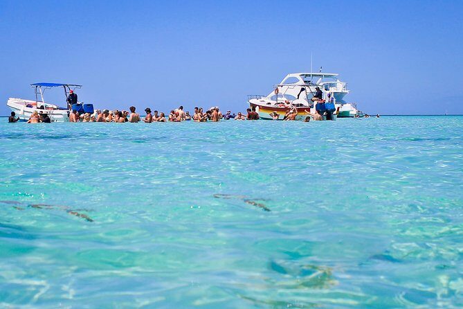 Saona Island Full Day From Punta Cana - Getting Back: Speedboat Ride and the End-of-Day Feel