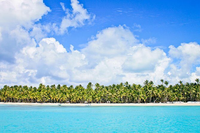 Saona Island Full Day From Punta Cana - Price and Value vs. Other Ways to Do Saona