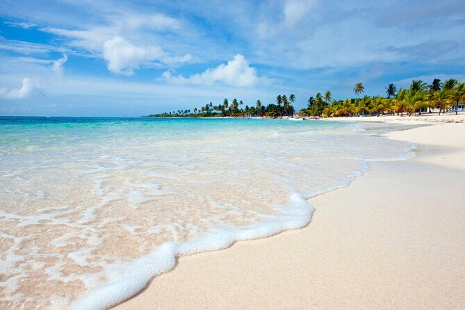 Saona Island Full-Day Tour from Punta Cana Bayahibe All Inclusive - Key highlights to watch for