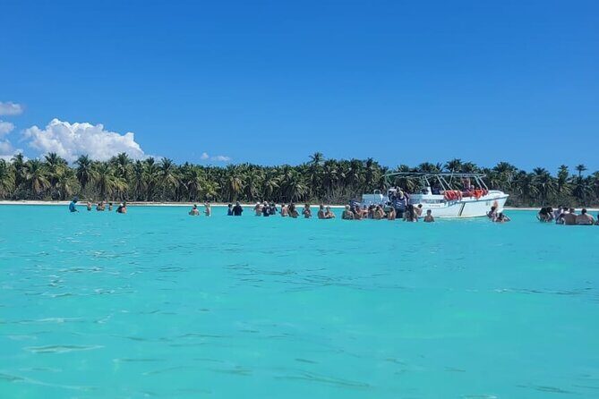 Saona Island Full-Day Tour from Punta Cana Bayahibe All Inclusive - Dolphin sightings: possible bonus when conditions line up