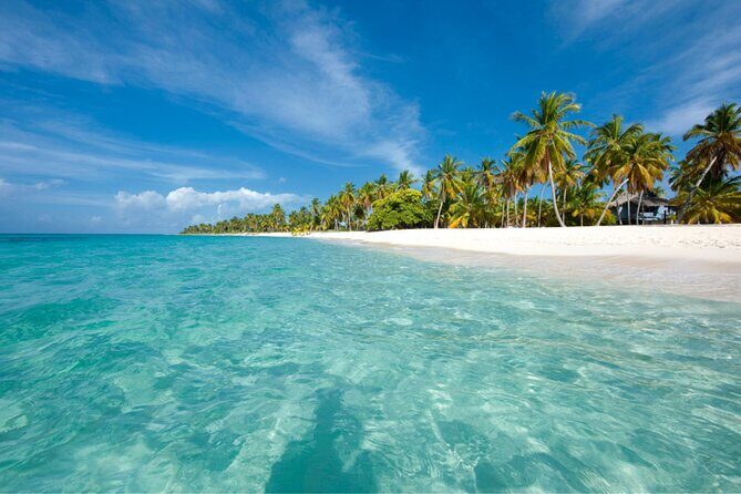Saona Island Full-Day Tour from Punta Cana Bayahibe All Inclusive - The early start: pickup comfort and how it sets your day up