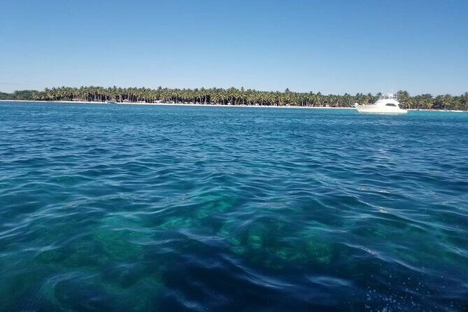 Saona Island Full-Day Tour from Santo Domingo - Food, Drinks, and the All-Inclusive Feel