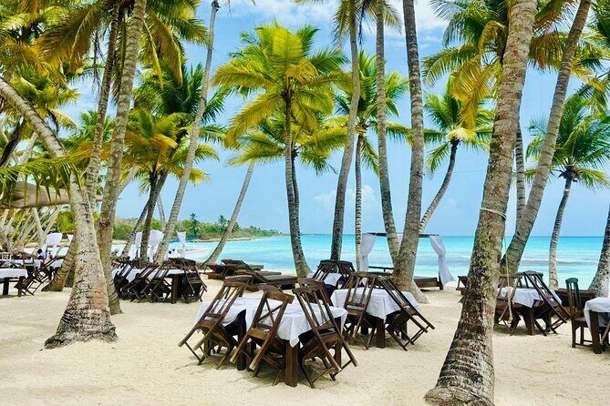 Saona Island Full Day Tour with Buffet Lunch, Paella, & Open Bar - From Punta Cana to Bayahibe: the day’s travel rhythm
