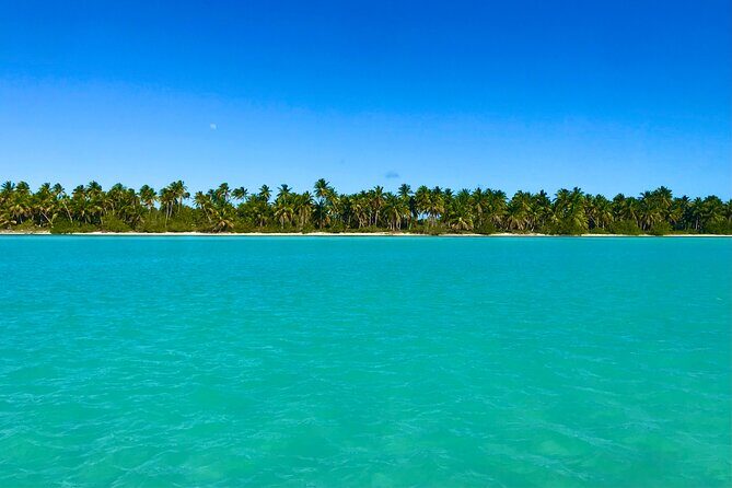 Saona Island Full Day Tour with Buffet Lunch, Paella, & Open Bar - Saona Island beach time: your paella lunch and a table you can claim
