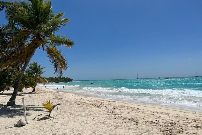 Saona Island Full Day Tour with Buffet Lunch, Paella, & Open Bar - Snorkeling on the water side: marine life time, not a course