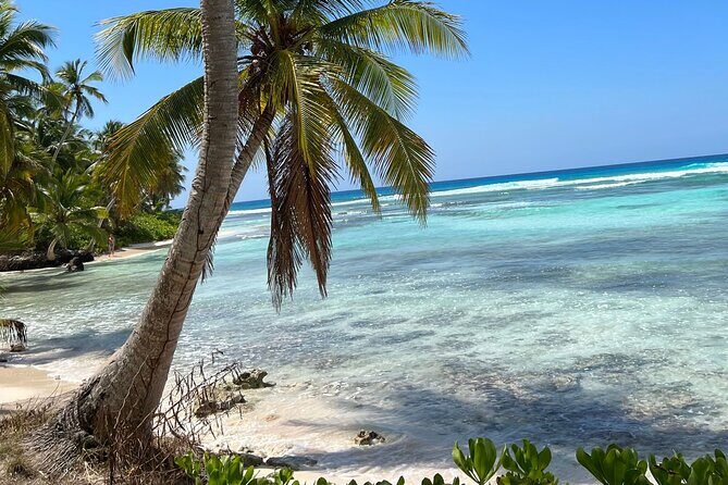 Saona Island Full Day Tour with Buffet Lunch, Paella, & Open Bar - Open bar reality check: enjoy it, but plan around it