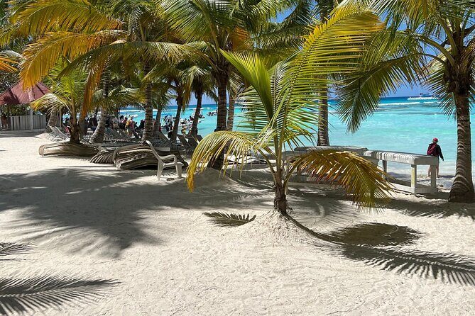 Saona Island Full Day Tour with Buffet Lunch, Paella, & Open Bar - Who should book this Saona Island full-day trip?