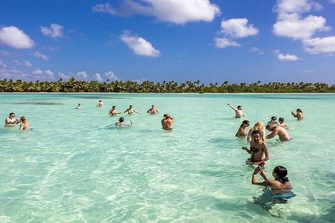 Saona Island Full-Day Tour with Lunch from Punta Cana - Saona Island in a Day: What This Tour Gets You Fast