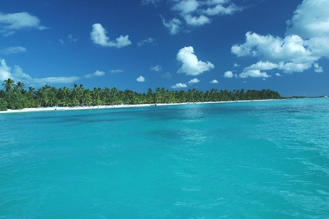 Saona Island Full-Day Tour with Lunch from Punta Cana - Catamaran Cruise Out and Speedboat Return: Less Wave Time, More Beach Time