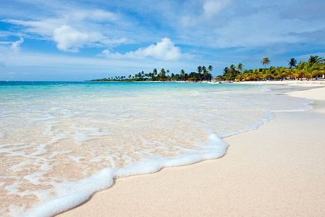 Saona Island Full-Day Tour with Lunch from Punta Cana - Timing, Crowd Level, and How to Make the Most of Your Day