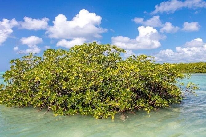 Saona Island Full-Day Tour with Lunch from Punta Cana - What You Should Pack (So You Don’t Regret It at 10:00 am)