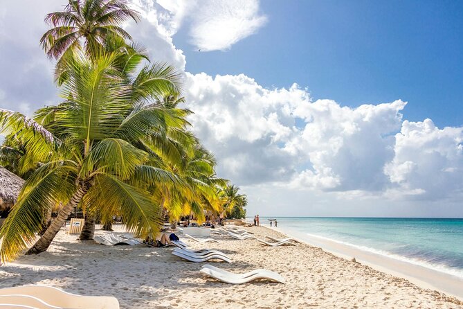 Saona Island Full-Day Tour with Lunch from Punta Cana - Guide and Group Experience: Expect Real Personality, Real Scheduling