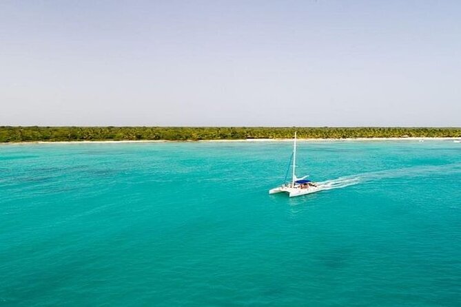 Saona Island Full-Day Tour with Lunch from Punta Cana - Saona Island Free Time: Beach Wandering and the Natural Pool