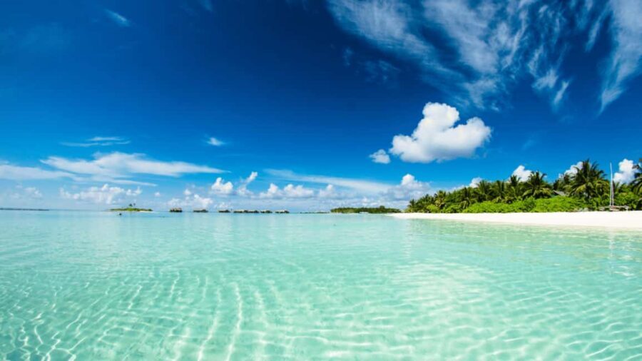 Saona Island: Hidden Beach & Natural Pool - Practical tips to make this day smoother