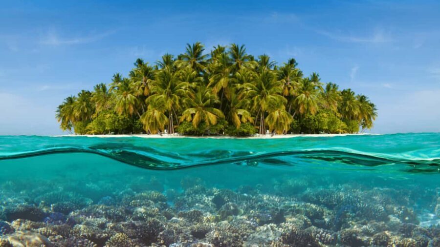 Saona Island: Hidden Beach & Natural Pool - How the day runs: pickup, coach ride, then Saona beach time