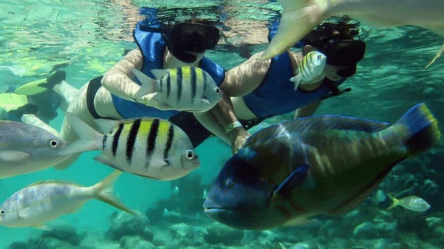 Saona Island: Hidden Beach & Natural Pool - Free time: photos, palm shade, and optional shopping