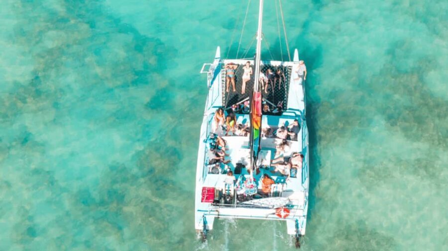 Saona Island: Hidden Beach & Natural Pool - Price and value: does $59 make sense for a full beach day?