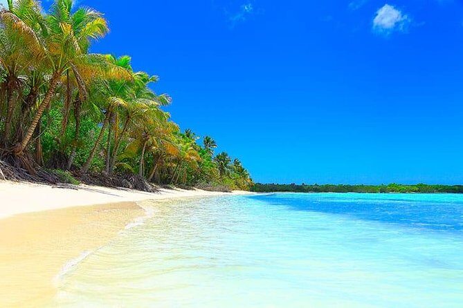 Saona Island Paradise Full Day - all inclusive. From Punta Cana & Bayahibe - Arrival on Saona: about 2 hours 45 minutes to actually enjoy the island