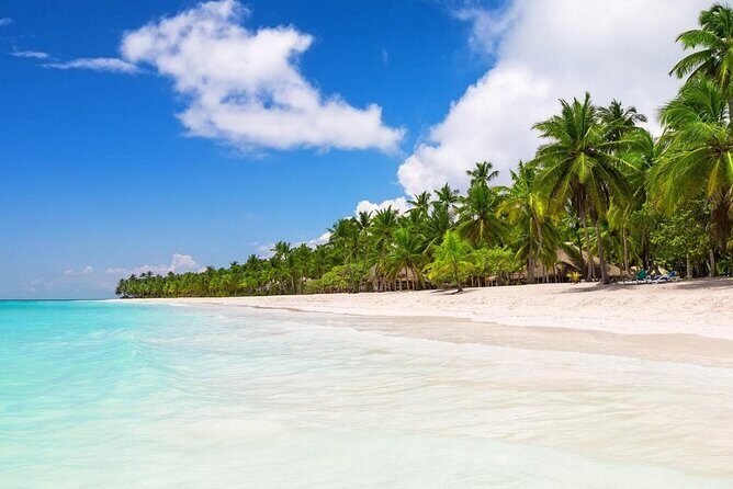 Saona Island Private Boat Tour with Lunch and Beverages - Key Things That Matter on This Saona Private Boat Tour