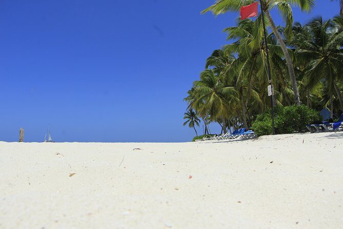 Saona Island Private Boat Tour with Lunch and Beverages - Natural Pool Swim: When to Go and What to Expect