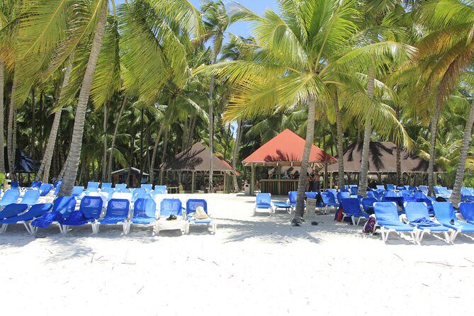 Saona Island Private Boat Tour with Lunch and Beverages - Who This Works Best For (and Who Should Skip It)