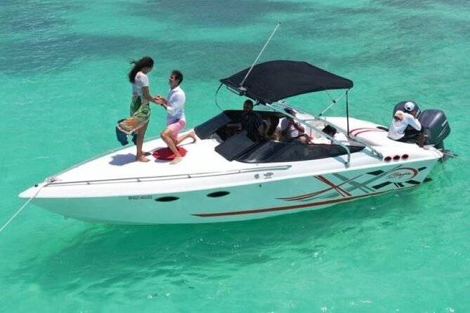 Saona island - Private Tour with a Luxury Speed Boat - A luxury speed boat day with real swim time