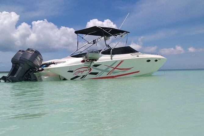Saona island - Private Tour with a Luxury Speed Boat - Key highlights you’ll care about