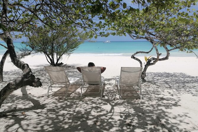 Saona island - Private Tour with a Luxury Speed Boat - Saona Island: two hours for beach choices, not a checklist