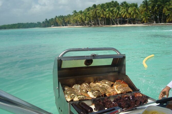 Saona island - Private Tour with a Luxury Speed Boat - Snacks and drinks (and the one missing piece)