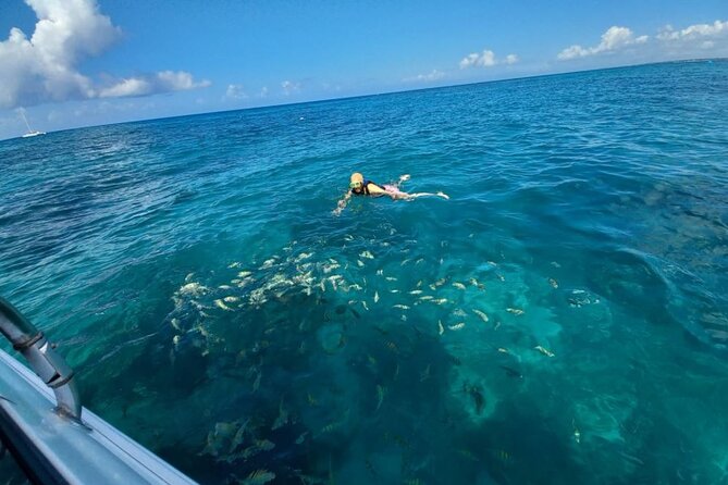 Saona island - Private Tour with a Luxury Speed Boat - Price and value: is $1,490 per group worth it?