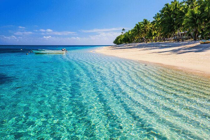 Saona Island : Punta Cana All Inclusive - Timing risks: seaweed, weather, traffic, and those early-morning headaches